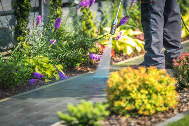 Best Pool Deck Cleaning  in Saluda, SC