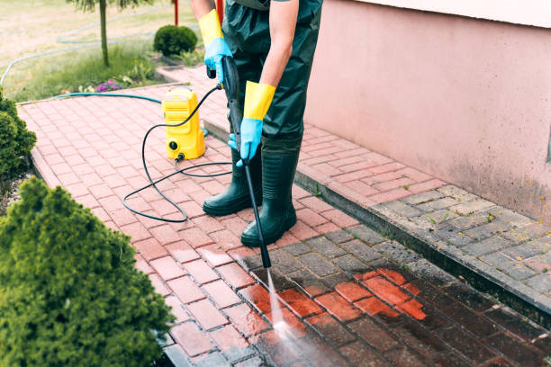 Best Solar Panel Cleaning  in Saluda, SC